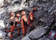 包含土耳其队中卫脖子受伤，是否能战斗未知的词条