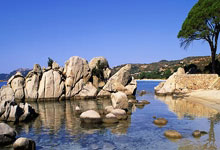 关于希洪竞技关键时刻取胜，成功挺进联赛前四的信息